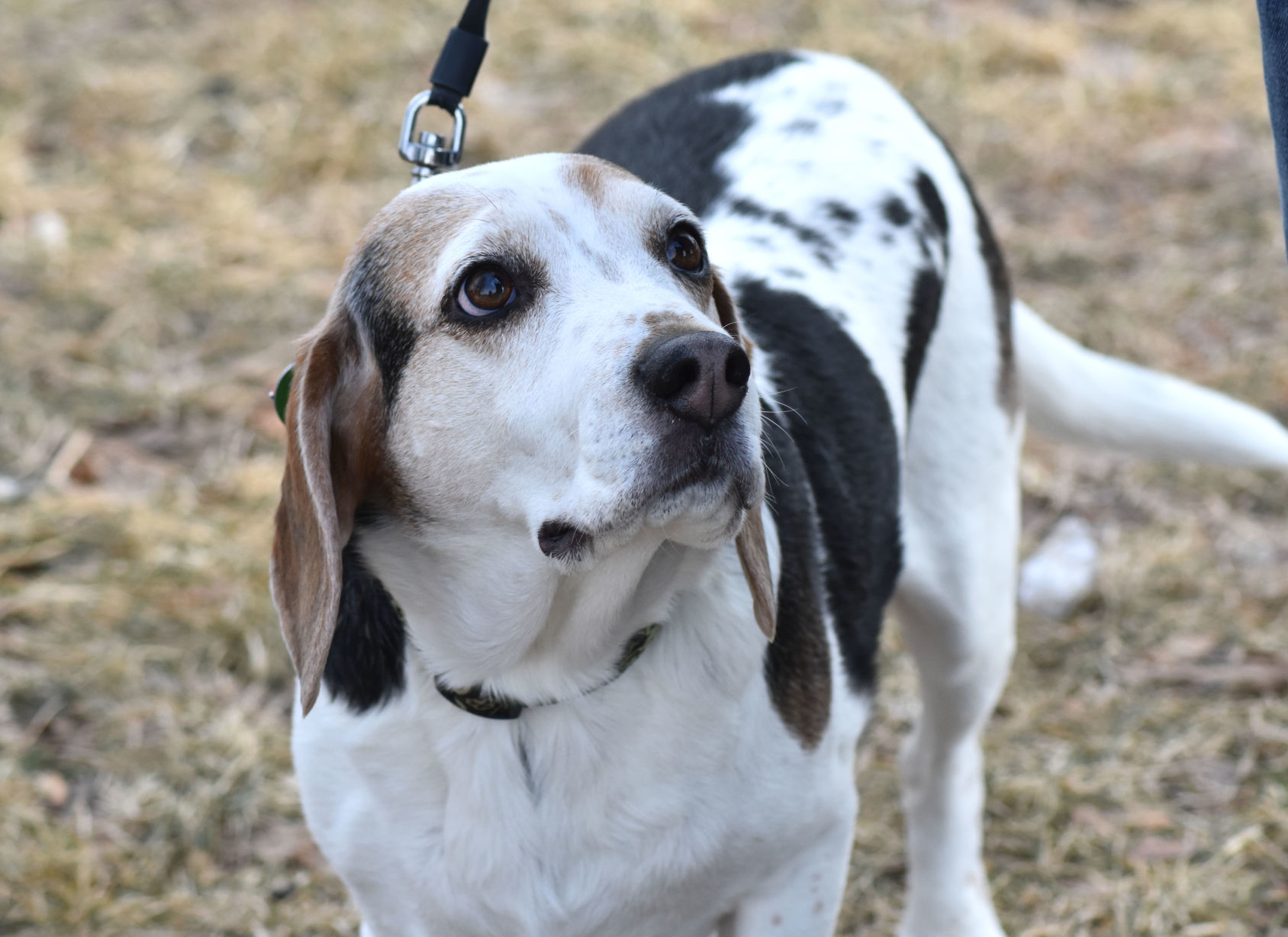 Finnegan